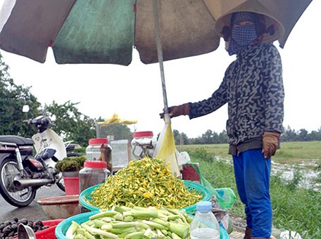  Bông điên điển đầu mùa không nhiều nên giá cao.