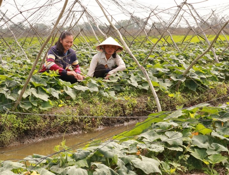 Tình hình sản xuất nông nghiệp tiếp tục tăng trưởng khá. 