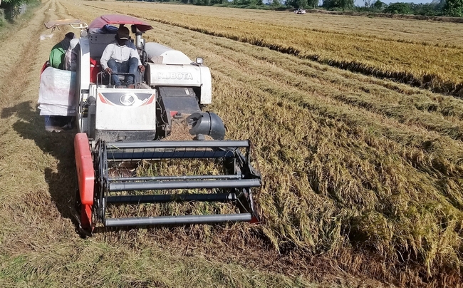 Thời gian qua, các chính sách hỗ trợ phát triển sản xuất được quan tâm triển khai, các mô hình hiệu quả được chú ý nhân rộng.  