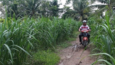 Người dân ấp Bang Chang mong có con đường đi lại dễ dàng, thuận lợi hơn.