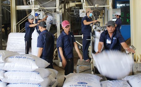 Đến nay, chương trình xây dựng NTM đã thực sự đi vào cuộc sống, tạo được sự đồng thuận của nhân dân.