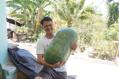 Người đàn ông này quê ở Phù Mỹ, đã chuyển sang nơi khác sinh sống cho biết đây là lần đầu tiên anh nhìn thấy bí khổng lồ - Ảnh: NGỌC DIỆP