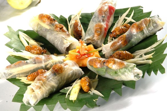 Ve ve cuốn bánh tráng