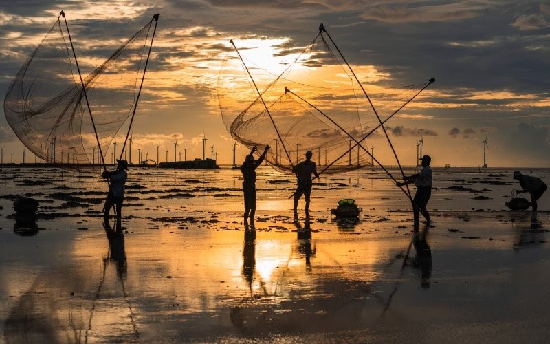 Cất vó - cảnh người dân thu hoạch cua, cá vào bình minh; phía xa là khu điện gió Bạc Liêu. (Ảnh: JIMMY HOÀI - HÀ NỘI)