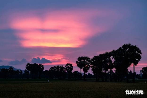 Những tia nắng cuối cùng trong ngày trên cánh đồng biên giới Tây Nam cũng ma mị, quyến rũ bước chân du khách