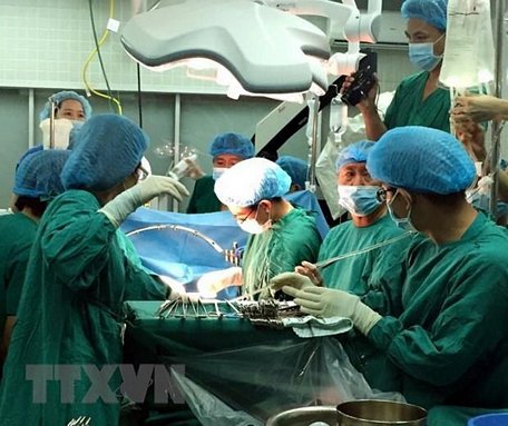 Ảnh minh họa. (Nguồn: TTXVN)