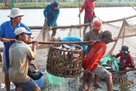 Khi hiệp định EVFTA thông qua sẽ là cơ hội lớn về xuất khẩu hàng hóa đối với các doanh nghiệp.