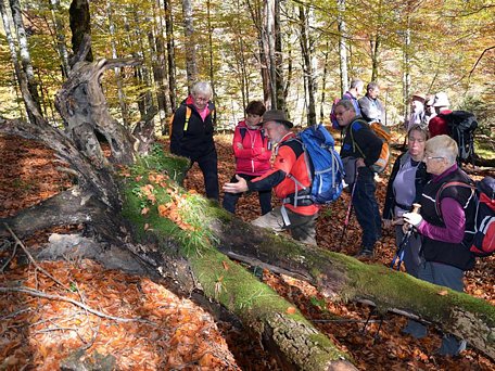 Du khách tham quan tại Công viên quốc gia Kalkalpen. Ảnh: nationalparksaustria.at