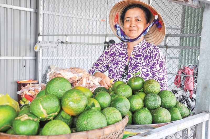 Trái cây ngon miền Tây chào hàng.