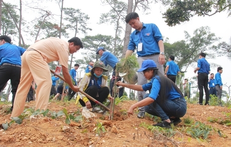 Dịp này, nhiều cây xanh đã được trồng ở khu di tích.