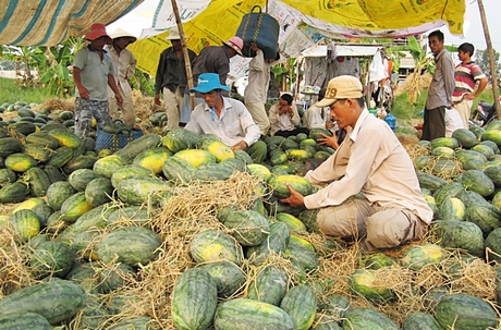 Nhờ đời sống nâng cao, người dân có điều kiện tham gia đóng góp xây dựng NTM.