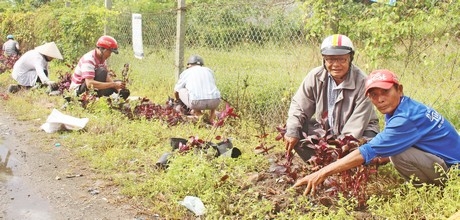 Trong những đợt ra quân, còn có sự tham gia tích cực của người dân.