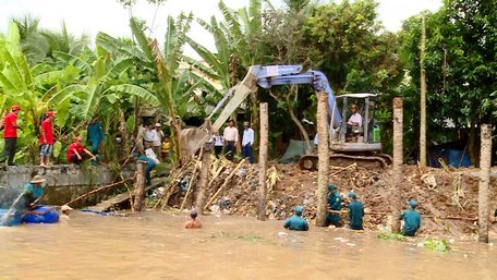 Gia cố đoạn đê bao bị sạt lở (xã Thanh Đức- Long Hồ).