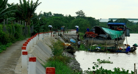 Một đoạn đê bao cồn Giông từ kè rọ đá đến giáp nhà ông Chí Trường đã được nhà nước đầu tư kiên cố.