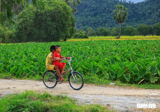 Trẻ con ở đây thích chạy xe đạp và chơi đùa trên con đường đê - Ảnh: NGUYỆT NHI