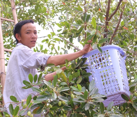 Anh Nhẫn cho rằng: Thanh niên muốn làm ăn hiệu quả phải chịu khó.