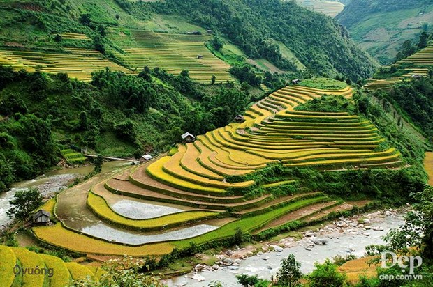 Ruộng hình ''chiếc giày'' ngay cầu Ba Nhà.