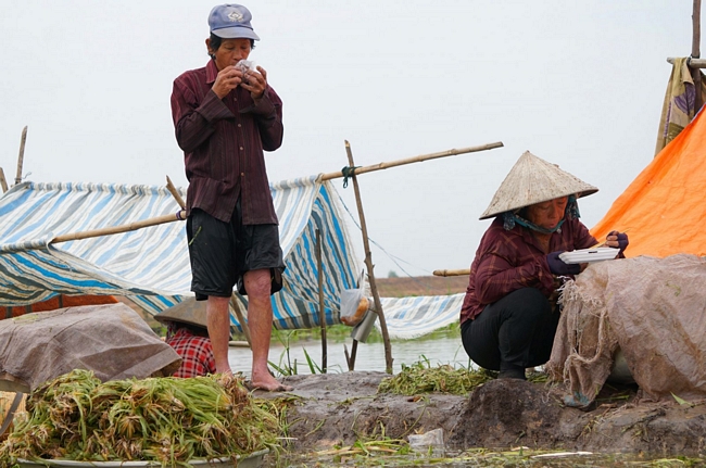 Công nhổ hẹ mang theo cơm, bánh mì, xôi ăn tại ruộng rồi tiếp tục công đoạn sơ chế.