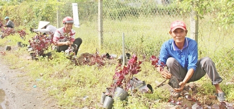 Việc vận động nhân dân chung tay bảo vệ môi trường, trồng hoa làm đẹp cảnh quan đang được nhân rộng trong toàn tỉnh.