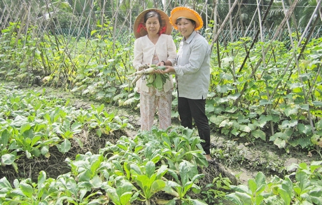Việc thực hiện Kết luận 61 đã thực sự đi vào cuộc sống, tăng nguồn lực giúp nông dân phát triển sản xuất.