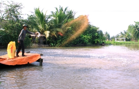 Toàn tỉnh hiện có trên 2.200ha nuôi thủy sản, trong đó diện tích nuôi cá tra thâm canh 454ha.