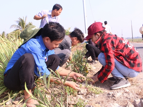 Thời gian qua tuổi trẻ Vĩnh Long đã thực hiện nhiều công trình, phần việc hữu ích tham gia xây dựng nông thôn mới