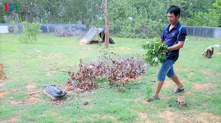 Anh Võ Nhân Tạo thường tận dụng rau củ quanh nhà để làm thức ăn cho dông.