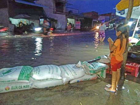 Tại TP Vĩnh Long, nhiều nơi phải đắp “đê bao dã chiến” chống ngập trong đợt triều cường vừa qua.