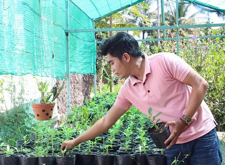 Đoàn viên thanh niên tham gia phát triển kinh tế với nhiều mô hình làm ăn hiệu quả.