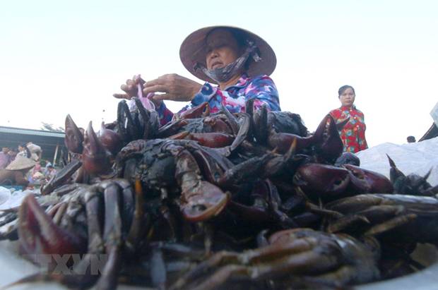  Sản vật mùa lũ được bán tại khu chợ nông thôn ở thành phố Vị Thanh. (Ảnh: Duy Khương/TTXVN)