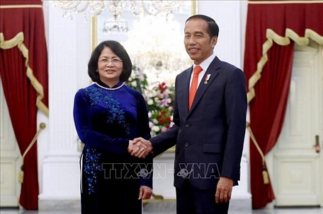 Phó Chủ tịch nước Đặng Thị Ngọc Thịnh hội kiến Tổng thống Indonesia Joko Widodo sau lễ nhậm chức. Ảnh: TTXVN phát