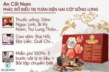  Cách điều trị gai cột sống lưng dứt điểm từ gốc đến ngọn nhờ An Cốt Nam