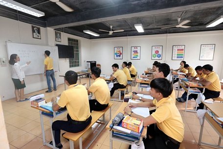  Ảnh minh họa. (Ảnh: Anh Tuấn/TTXVN)
