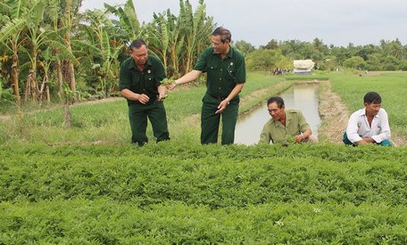 Nhờ giúp nhau làm kinh tế mà nhiều cựu chiến binh có điều kiện vươn lên và tiếp tục giúp đỡ cho những đồng đội khác.