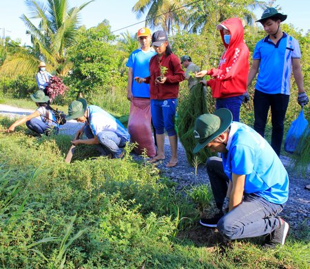 Bạn trẻ học cách tự lập từ những việc làm nhỏ nhất như tự chăm sóc bản thân hay tham gia các hoạt động xã hội. Ảnh minh họa