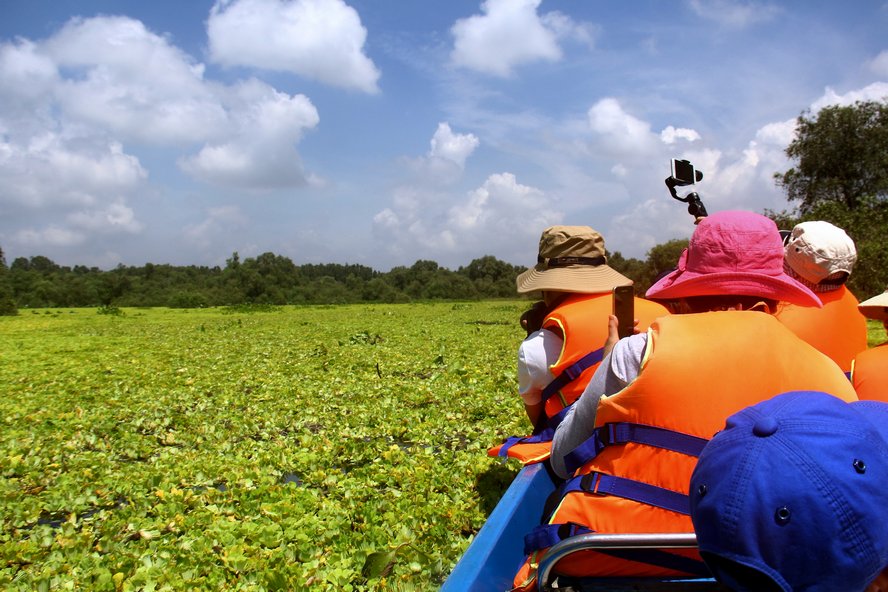 Ở rừng tràm Trà Sư, du khách trải nghiệm qua những trảng bèo hoa dâu dày đặc, đẹp như tranh vẽ.