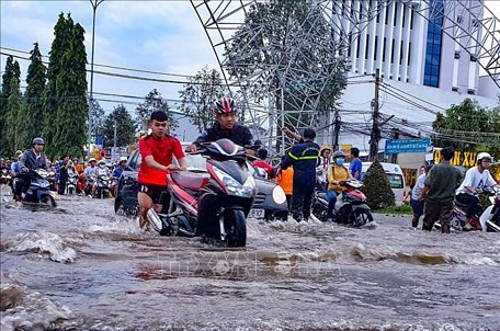 Dự báo triều cường có khả năng vượt báo động 3 (Nguồn: TTXVN)