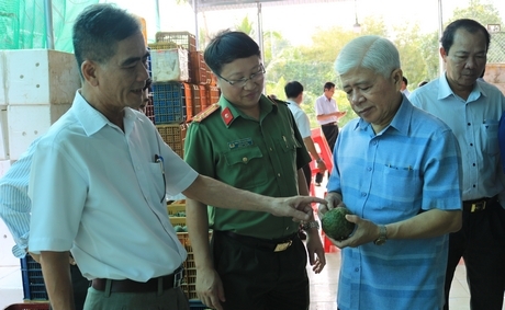 Đoàn tham quan tại HTX cam sành Phú Nông (xã Thới Hòa).