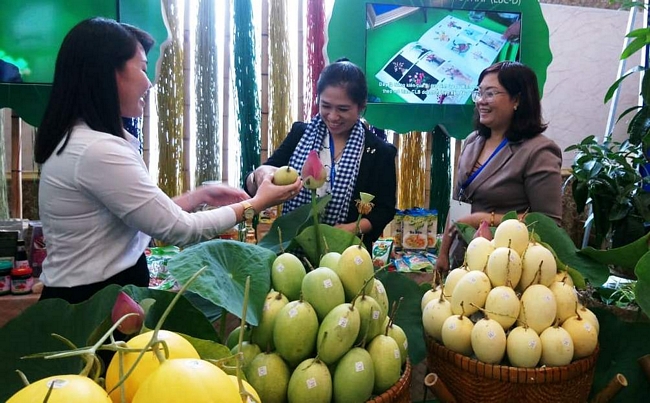 Nông sản đồng đằng được trưng bày, giới thiệu tại diễn đàn.