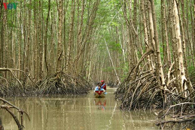 Chủ điểm dừng chân Tư Tỵ (thị trấn Rạch Gốc) cho biết, trải nghiệm thực tế bắt cua, câu cá thòi lòi luôn thu hút du khách nhất.