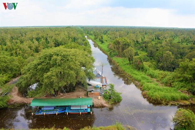 Nếu ở Mũi Cà Mau du khách khám phá hệ sinh thái mặn thì về với Vườn Quốc gia U Minh hạ sẽ được trải nghiệm đa dạng hệ sinh thái ngọt.