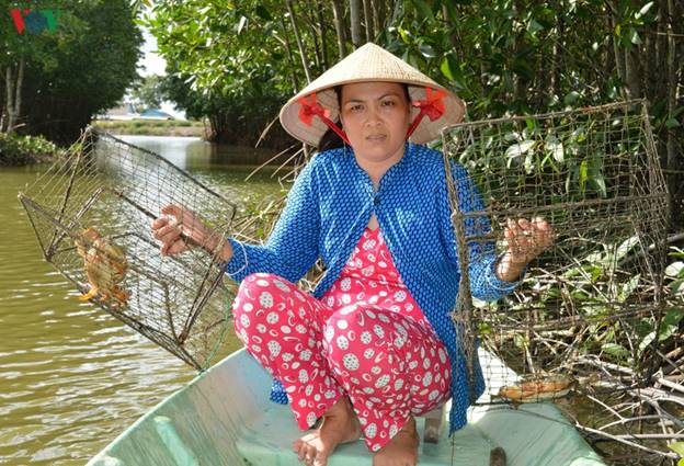 Cua Năm Căn, Tôm khô Rạch Gốc, Cá khô khoai Cái Đôi Vàm; Bồn bồn Cái Nước; Khô bổi U Minh đều là những sản phẩm tỉnh Cà Mau được công nhận nhãn hiệu tập thể.