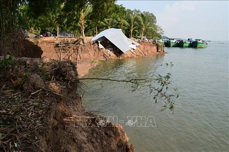 Hiện trường vụ sạt lở nghiêm trọng tại khu vực bờ sông Tiền, thuộc khóm Sở Thượng, phường An Lạc, thị xã Hồng Ngự, tỉnh Đồng Tháp. Ảnh: Chương Đài/TTXVN