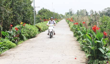 Các tuyến đường giao thông nhờ được cựu chiến binh chăm chút trồng hoa nên ngày càng đẹp hơn.