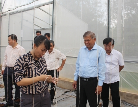 Dây treo giúp hỗ trợ cho kỹ thuật làm giàn đỡ treo dưa lưới, là vật tư không thể thiếu khi trồng trong nhà màn. Trong ảnh: Đoàn khảo sát tình hình thực hiện Nghị quyết năm 2019 của Đảng bộ TP Vĩnh Long.