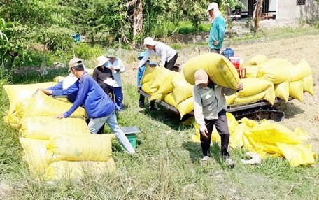 Nông dân mong muốn Chính phủ tiếp tục tạo điều kiện thuận lợi để sản phẩm nông nghiệp đủ sức cạnh tranh trên thị trường quốc tế.
