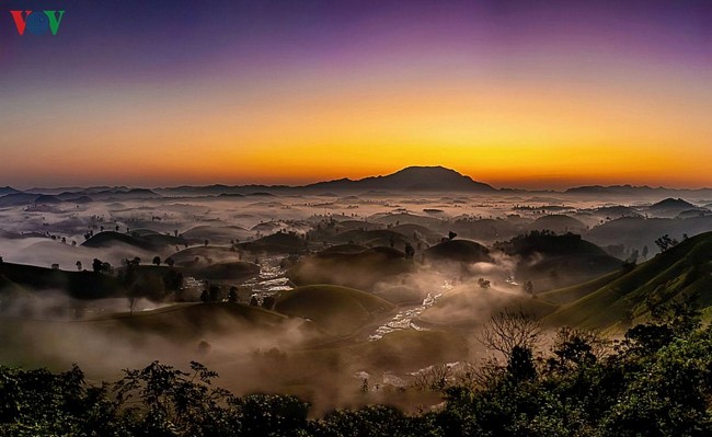 Lúc này, đồi chè ẩn hiện trong màn sương mờ ảo chờ đón mặt trời tỏa ánh sáng bao trùm khắp không gian.