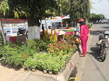 Chợ hoa kiểng vừa khởi động, đã có khách hàng ghé ngay.