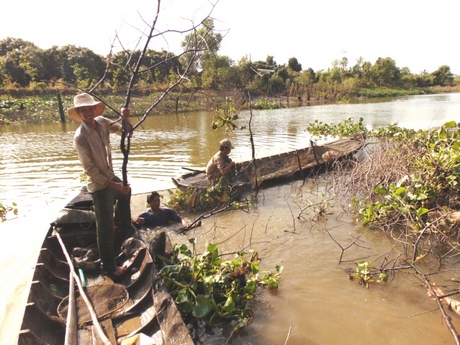 Dỡ chà bắt cá.