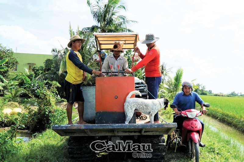 Hành trình đi săn chuột đồng của nông dân xã Lý Văn Lâm.